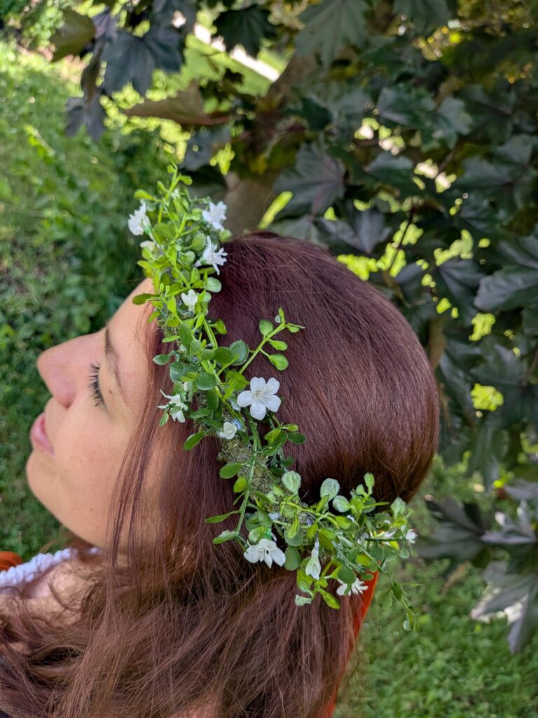Creeping Jenny(2)