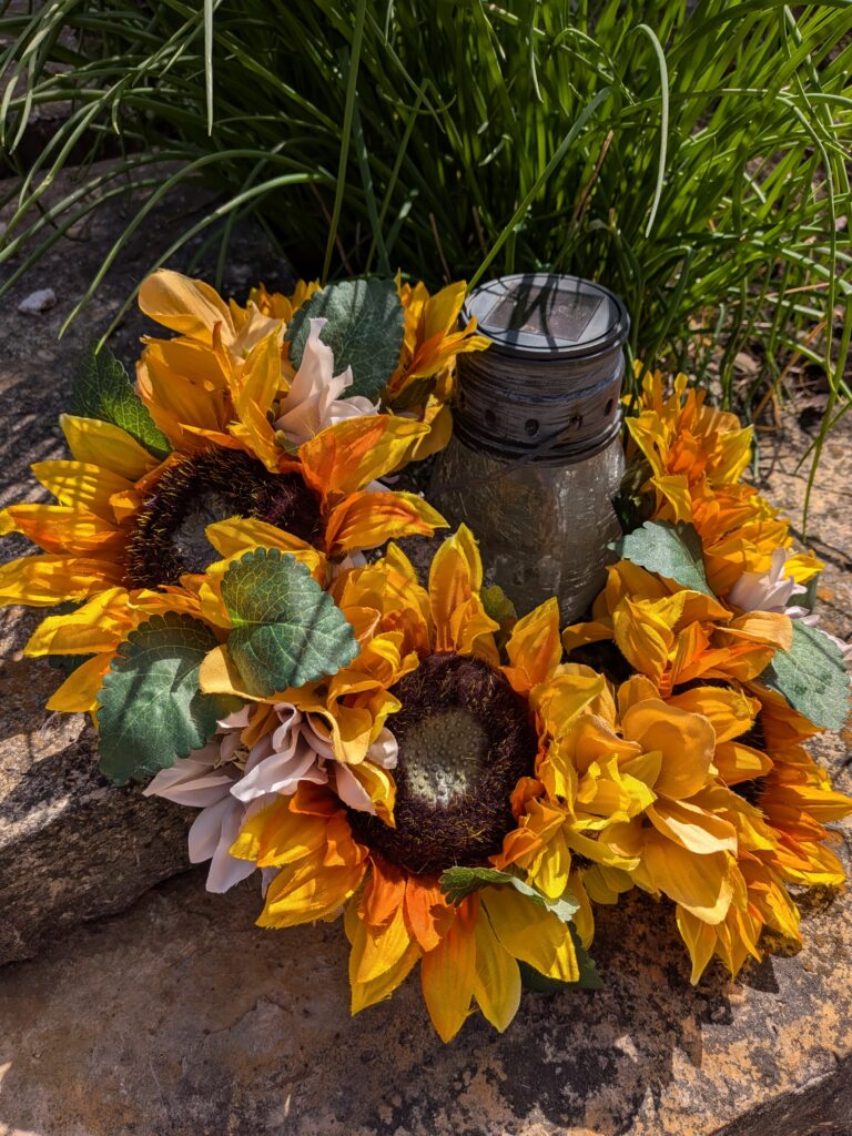 Sunflower--Jamie(3)