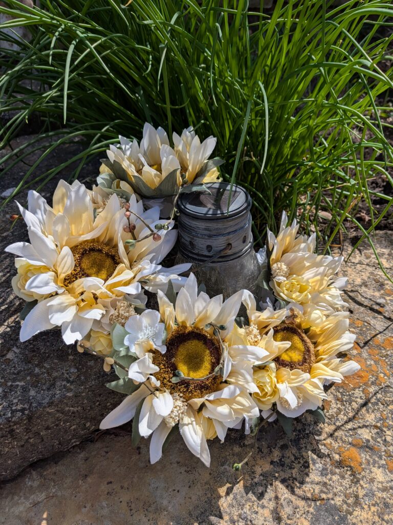 Sunflower--Quinn(3)